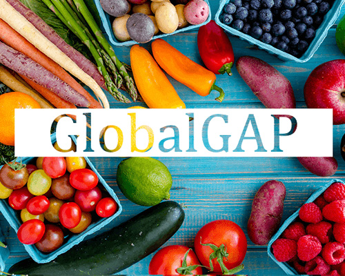 Tiêu chuẩn thực phẩm hữu cơ & Global GAP